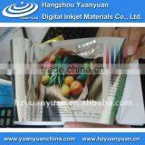 Glossy Silver PET Film , Rigid Pet Film thumbnail-1