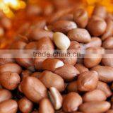 Blanched Peanut Kernel thumbnail-1