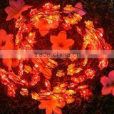 LED Festival Lights thumbnail-4