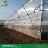 Polycarbonate Greenhouse Polycarbonate Panel 8mm Clear for Greenhouse thumbnail-5