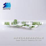 KW-0007FG-GN Polystyrene Sushi Plate,plastic Blister Box,printed Blister Box thumbnail-2