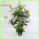 Make and Wholesale Cheap Artificial Plants