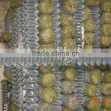 Electro Galvanized Chain Link Wire Mesh