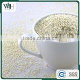 2016 Sortexed India Hulled White Sesame thumbnail-6