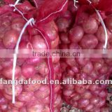 China onion /fresh red onion with lower price