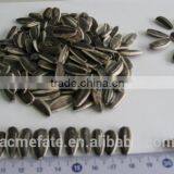 Yummy Shine Sunflower Seeds 5135 22/64 thumbnail-2