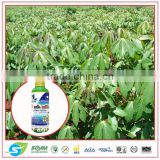 Liquid nutrient for vegetable, fruit and all kinds of plant (Plant stimulant) Nano Amino