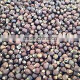 African Black Pepper thumbnail-1