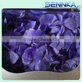 Natural Processing Fadeless Flower European Snowball Preserved Hydrangeas thumbnail-4