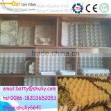 Pulp Egg Tray Machine / Recycling Waste Paper Egg Tray Making Machine / Equipment For The Production of Egg Carton