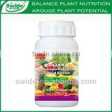 High Concentration Liquid Boron Fertilizer