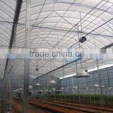 UV Resistant Plastic Film Greenhouse thumbnail-4