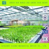 Single-span Hydroponic Blackout PC Sheet Greenhouse thumbnail-4