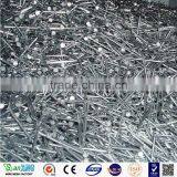 Iron Nail/ Common Wire Nail/Common Iron Nails thumbnail-3