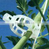 100%compostable Environmental Agricultural Greenhouse Plastic PLA Grafting Clips thumbnail-1
