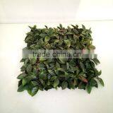 Decorative Orange Leaf Garden Artificial Grass Fence thumbnail-1