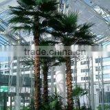 Decorative Indoor Outdoor Home Garden Artificial Palm Tree Plastic Palm Tree thumbnail-1