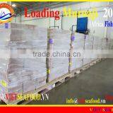 LOADING MUROAJI FOR TUNA BAIT thumbnail-1