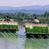 Rice Transplanter thumbnail-2