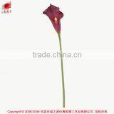 Dongguan Wholesale Artificial Flower Calla Lily Synthetic Flower Calla Lily Fake Flower Calla Lily thumbnail-2