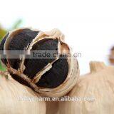 [HOT]Many Heads Black Garlic--HC Company thumbnail-1