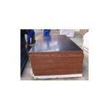 18mm Black Film Faced Plywood, WBP Glue thumbnail-1