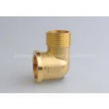 Male and Female Elbow thumbnail-1