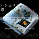 Paisley Handkerchief