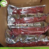 Factory Hot Sale Dried Himalayan Goji Berries thumbnail-5