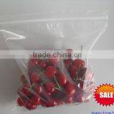 LDPE Clear or Printed Slider Bag With or Without Bottom Gusset