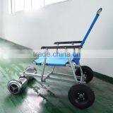 2016 New Arrival Multifunctional Hoverboard Cart, Two Wheels Aluminum Structural Frame Of Self Balancing Electric Scooter thumbnail-2