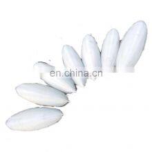 High Quality Animal Feed Body Part Vitamins NATURE Bag Packaging Natural White Dried Cuttlefish Bone thumbnail-2