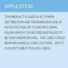 EC 60502-1 0.6/1kV IEC 60502-1 XLPE Insulated,PVC Sheathed,steel Tape Armoured Power Cable thumbnail-4