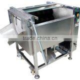 Fresh Ginger Washing and Peeling Machine