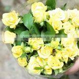 Durable Sprayed Rose Gold Rose Valentines Gift thumbnail-1