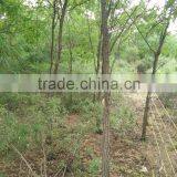 China Manufacture Gold Price of Solar Power Electric Fence for Crop thumbnail-5