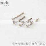 China Cheap Pan Head Phillips Self Tapping Stainless Steel Screw thumbnail-1