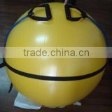 Yoga Ball PVC Fitness Gym Workout Stability Small Exercise Ball