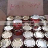 OEM Label Tinned Tomato Paste 18/20 Brix thumbnail-5