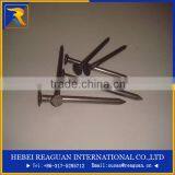 Hot Sale and Best Price 1-3/4"(5D) Fence Nail thumbnail-1