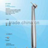 Dental Model LY-10-01