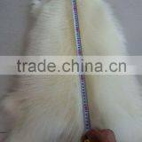 Genuine Animal Skin Raccoon Dog Fur / Real Natural Fur Skin / White Raccoon Skin thumbnail-4