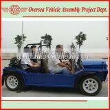Chinese Manufacturer Seeks Coorperation To Set Up Moke Car Assembly Line thumbnail-4