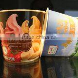 10oz Paper and Plastic Ice Cream Cup With Lid