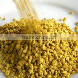 2014 Year Big Grain New Rape Bee Pollen for Exproting