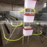 Best Selling 120 Chickens Cage for Laying Hens thumbnail-3