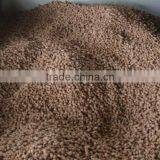 Wood Plastic Composite Wpc Pelletizing Machine/ Wpc Pelletizing Line thumbnail-3