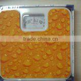 Portable Body Weight Scale