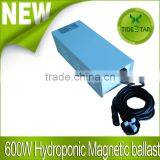 Hydroponic HPS/MH Grow Light 600w Magnetic Ballast thumbnail-1