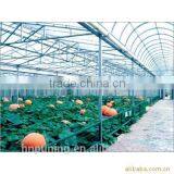 100% Virgin Bayer,sun Sheet & Polycarbonate Force Structure Multi-wall Sheet 10 Years Quality thumbnail-3